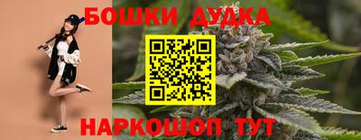 альфа пвп Новокубанск